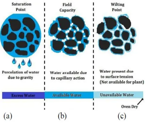 Fig 1. water holding property of soil 
