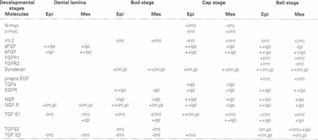 TABLE 2