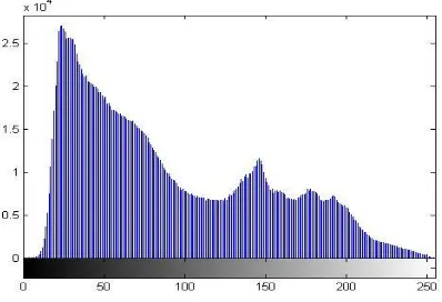 Fig. 4. Histogram of sender side image 