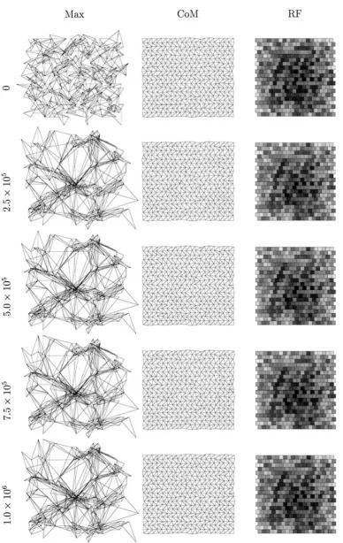 Figure 5.An example of a one-eye, one-LGN sheet simulation in which the infusion of exogenous neurotrophic factors is simulated by setting T0 � 100.The details of this Figure are otherwise identical to Figure 4.