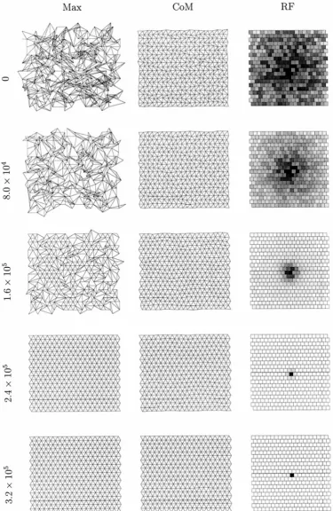 Figure 6.An example of a one-eye, one-LGN sheet simulation in which visually evoked activity is used rather than spontaneous retinal waves