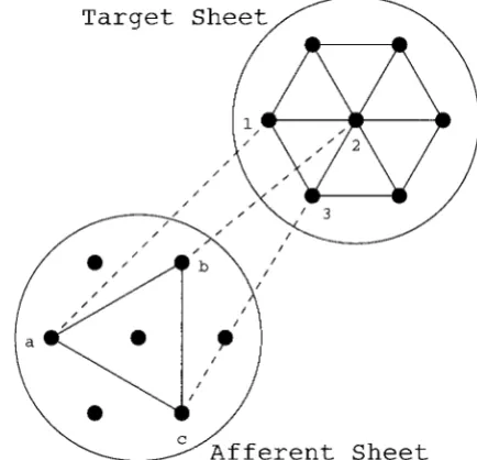 Figure 1.A schematic illustration of the visualization of topography in afor all other pairs of nearest target neighbors (only 3 such pairs are shownfor clarity)