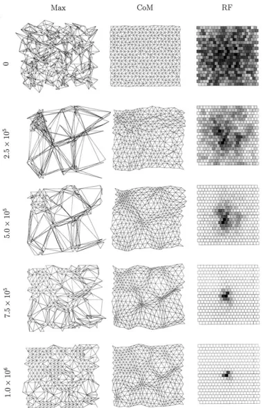 Figure 2.An example of a one-eye, one-LGN sheet simulation using spontaneous retinal waves