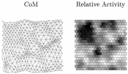 Figure 3.The connection between disrupted topography and retinalganglion cell is active 1760 times (phy measure is in retinal coordinates, these two maps are superimposable.For the 50,000 periods of activity in the simulated retinal waves used inthe simula