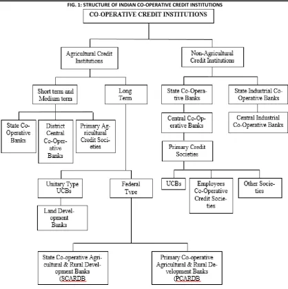 FIG. 1: STRUCTURE OF INDIAN CO-OPERATIVE CREDIT INSTITUTIONS 