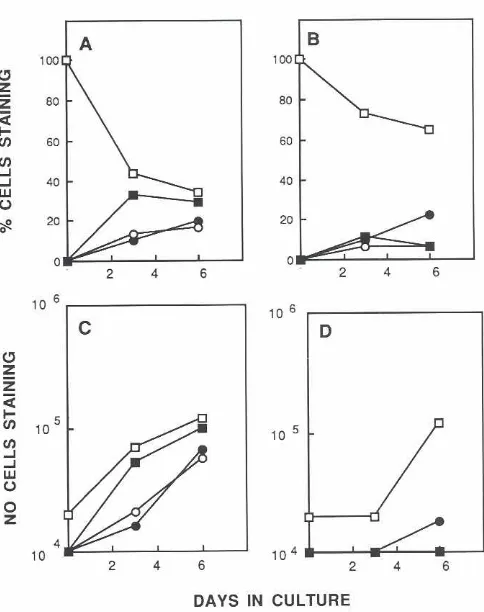 Fig.4,thymicComparisonofcytototoxicactivityinfetallobesculturedwithCScr1L2.Thymic/obesfrom 14dayfetal mice were culturedwith CSat 1~M(.),/L2at1OOu/ml18iorwithouttreatment(0)for6days