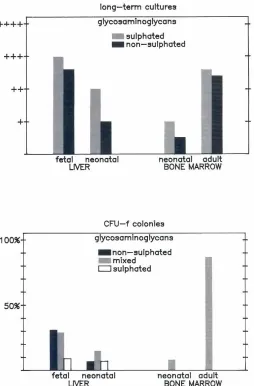 Fig. 4. Presenceof glycosaminoglycansfibroblastfrom differentpositive for GAGsAfter comparison(sulfatedand non-sulfated)incoloniesandstromalcells of long-termculturesderivedhemopoieticorgans.The number of colonies which stain is expressedas a percentageof 