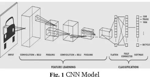 Fig. 1 CNN Model 