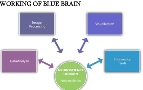 Figure 1. Functional block diagram of Blue Brain 
