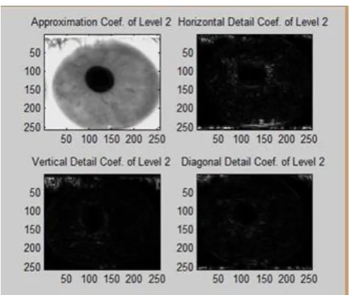 Figure 6. Features of a image 