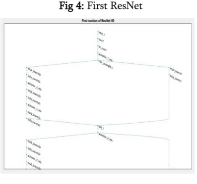 Fig 6: Classes of Images with Its Count 