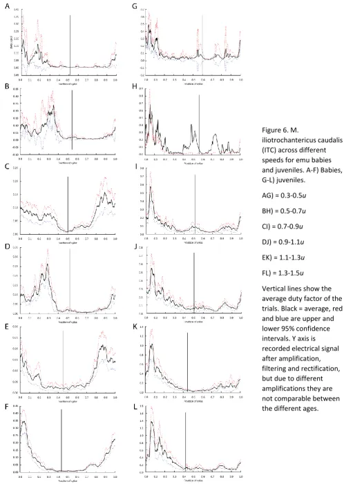 Figure 6. M. 