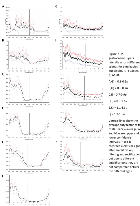 Figure 7. M. 