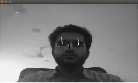 Fig 4.2 Gaze Direction prediction using OpenCV 