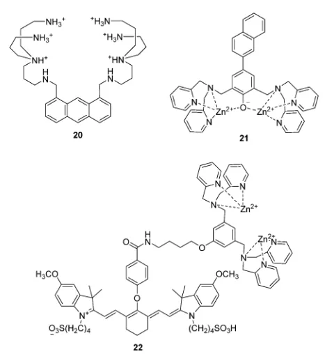 Fig. 9Structures of the fluorescent chemosensors 17–19.