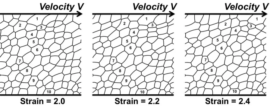 Figure 2. Snapshots of a 2D foam under continuous shear, obtained from dynamicviscous froth model simulations [27, 26]