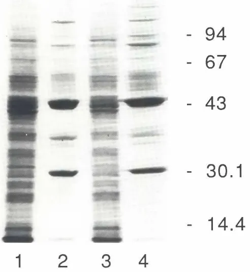 Fig. 1. Events