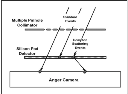 Fig. 1.Schematic of the Compton scattering enhanced multiple pinholeimaging system.