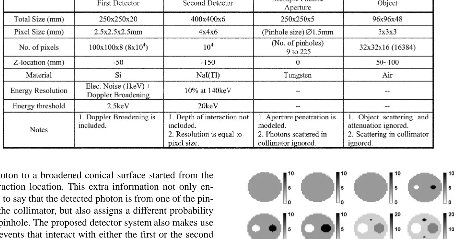 Fig. 2.The phantom used in 3-D study.