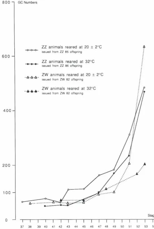 Fig. 5. Relationshipsbetweenin ZZ andat roomaverageGC numbersand developmentalstagesZW animals~grouphybrid)andSd animals(groupII) rearedtemperature.For Sd graph.each pomr corresponds to the GCnumberof rhree or four unknowngenotypelarvae (Table1)