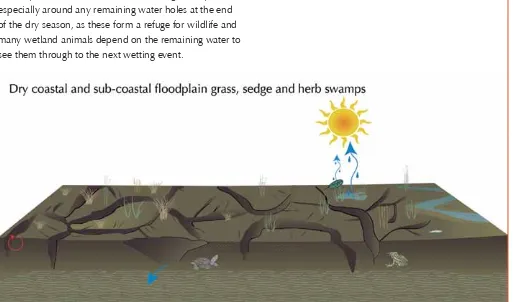 Figure 20 Wetland in the dry season. Source: DERM