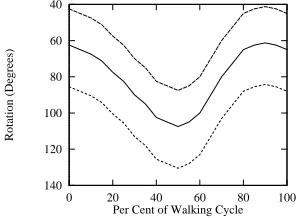 Fig. 1 Hip Rotation