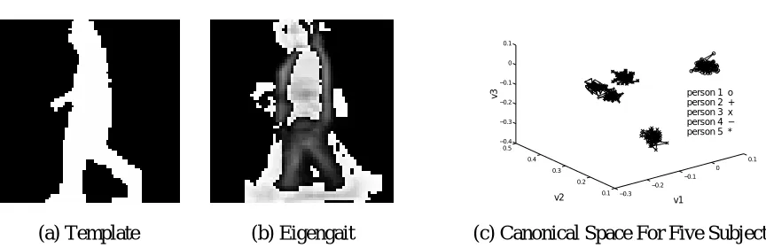 Figure 3 Statistical Gait Recognition: Template and Processed Data