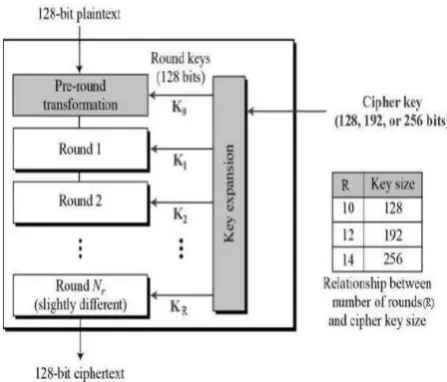 Figure 2 : Advanced Encryption standard encryption 