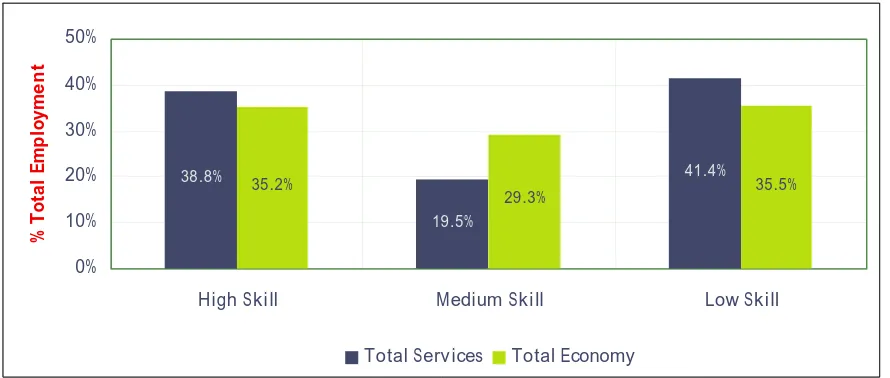 Figure 5: Skills Profile in Ireland, 2007 