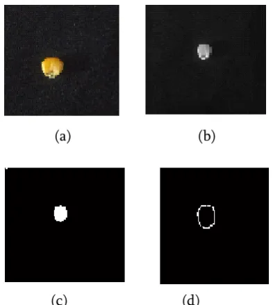 Figure 1 : Image preprocessing and edge detection (a) Original Image (b) Gray Image (c) Black and  white image (d) Canny edge detected image