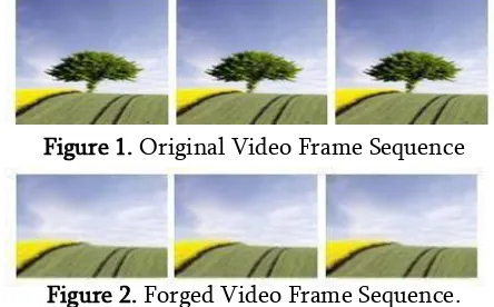 Figure 1. Original Video Frame Sequence 