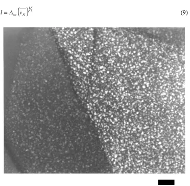 Fig. 1 100 nmTEM micrograph of δ' precipitates in the monolithic 8090 alloy aged for 8 h at 170º