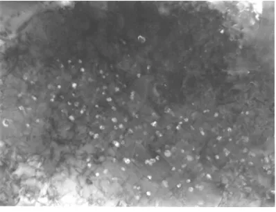 Fig. 2 200 nmTEM micrograph of β' precipitates in the Al-1.5Li-Cu-Mg MMC aged for 7 days at 170ºC