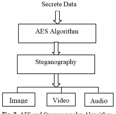 Fig. 3. AES and Steganography Algorithm 