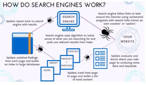 Fig 1. Working of Search Engine 