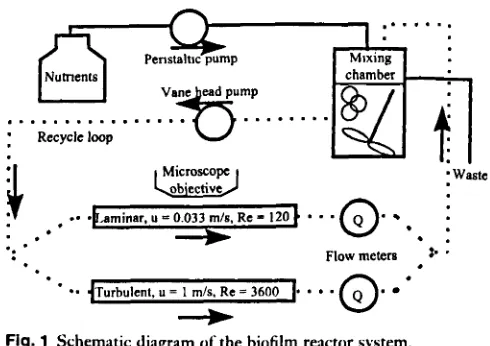 Fig. 1 Schematic diagram + of the biofilm reactor system. 