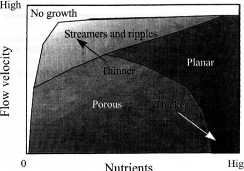 Fig. 9 may occur assumptions by moving diagonally across bottom right, nutrient concentration is required for morphotypes