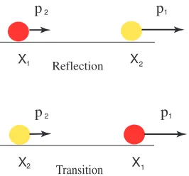 Figure 3.2: In the collision process particles either keep (transition)or exchange (reﬂection) their momenta