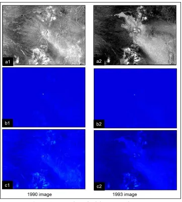 Figure 6. Detection of superficial changes, period 1990-1993  a) Principal component, b) Co-occurrence matrix, c) Wavelet