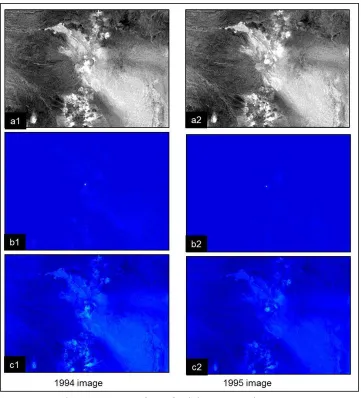 Figure 7. Detection of superficial changes, period 1994-1995. a) Principal component, b) Co-occurrence matrix, c) Wavelet