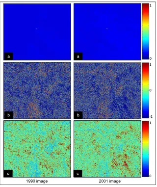 Figure 1. Lascar Volcano, co-occurrence matrix. 