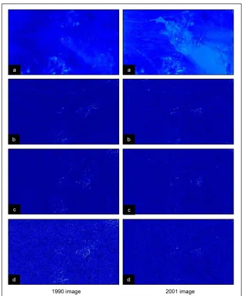 Figure 2. Lascar Volcano, Daubechies wavelet coefficients of order 2 a) Approximation, b) Horizontal, c) Vertical, d) Diagonal