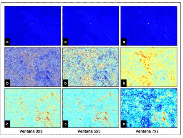 Figure 3. Results for different window sizes. 2001 image.  