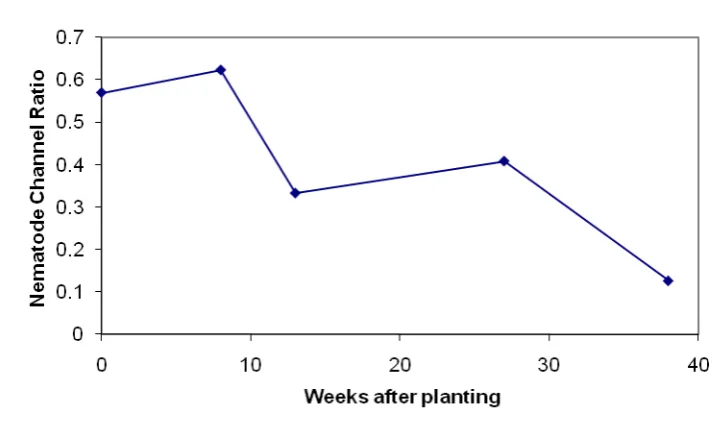 Figure 13.  Temporal changes in the Nematode Channel Ratio in surface residues from previous 
