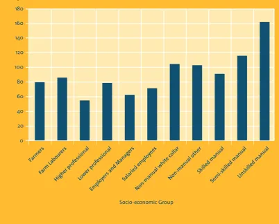 Figure 8 Standardised mortality rates by socio-economic group