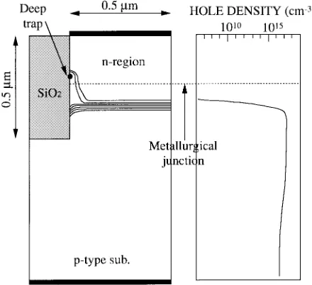 Fig. 4.Hole distribution analyzed by 2-D simulation: (a) contour map of thehole density distribution where deep traps behave like a carrier source and (b)hole density distribution along the righthand side-wall in (a).