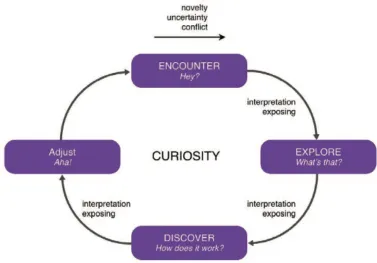 Figure 3: The Curiosity Process