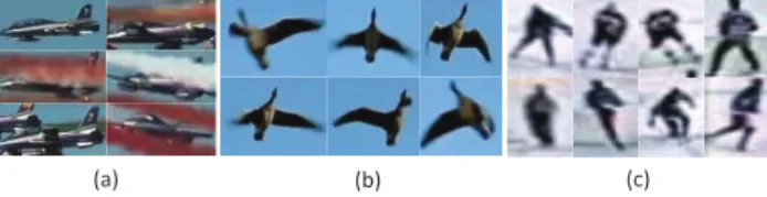 Figure 3: Illustration of intra-class variance. Shown are cropped regions from (a) the Airshow sequence, (b) the Goose sequence and (c) the Hockey sequence.