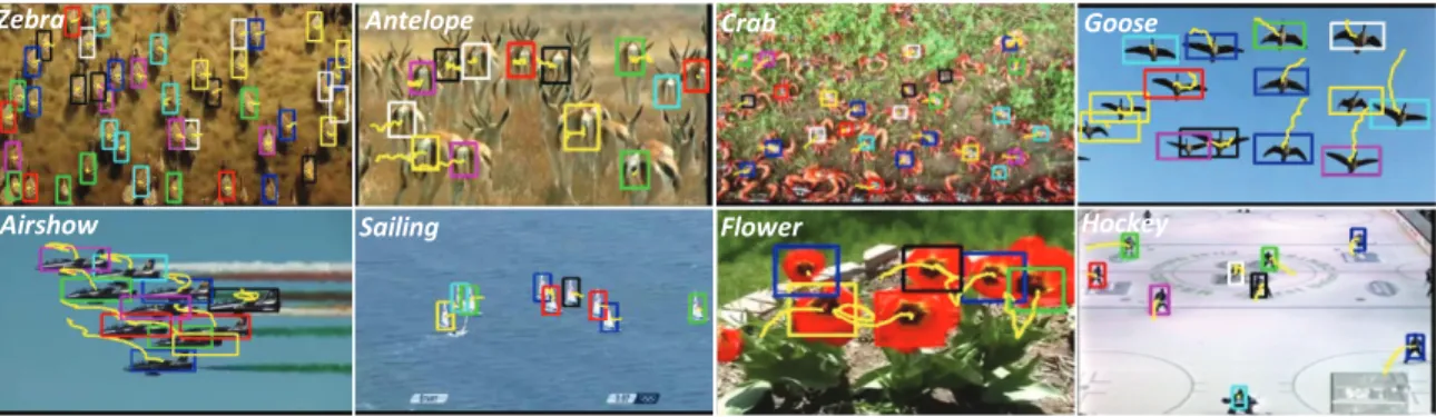 Figure 9: Multiple object tracking results shown on frames excerpted from the videos. Different colors correspond to different objects (we only adopt 8 colors so some boxes are of the same color), the yellow lines represent trajectories.