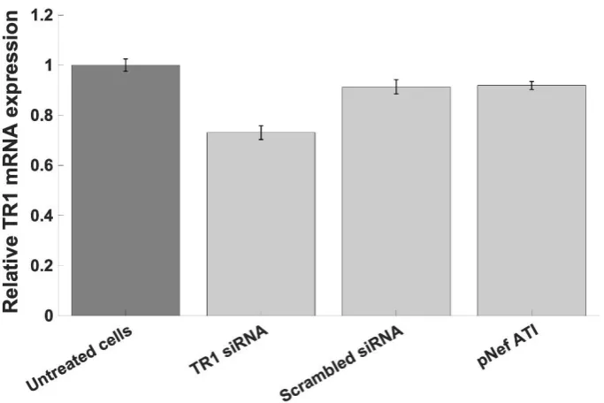 Fig 8. TR1 mRNA expression assessed by qPCR. Compared to untreated cells, an approximately 27% knockdown of TR1 mRNA relative to untreated cells (P < 0.0001) was observed in the sample treated with anti-TR1 siRNA